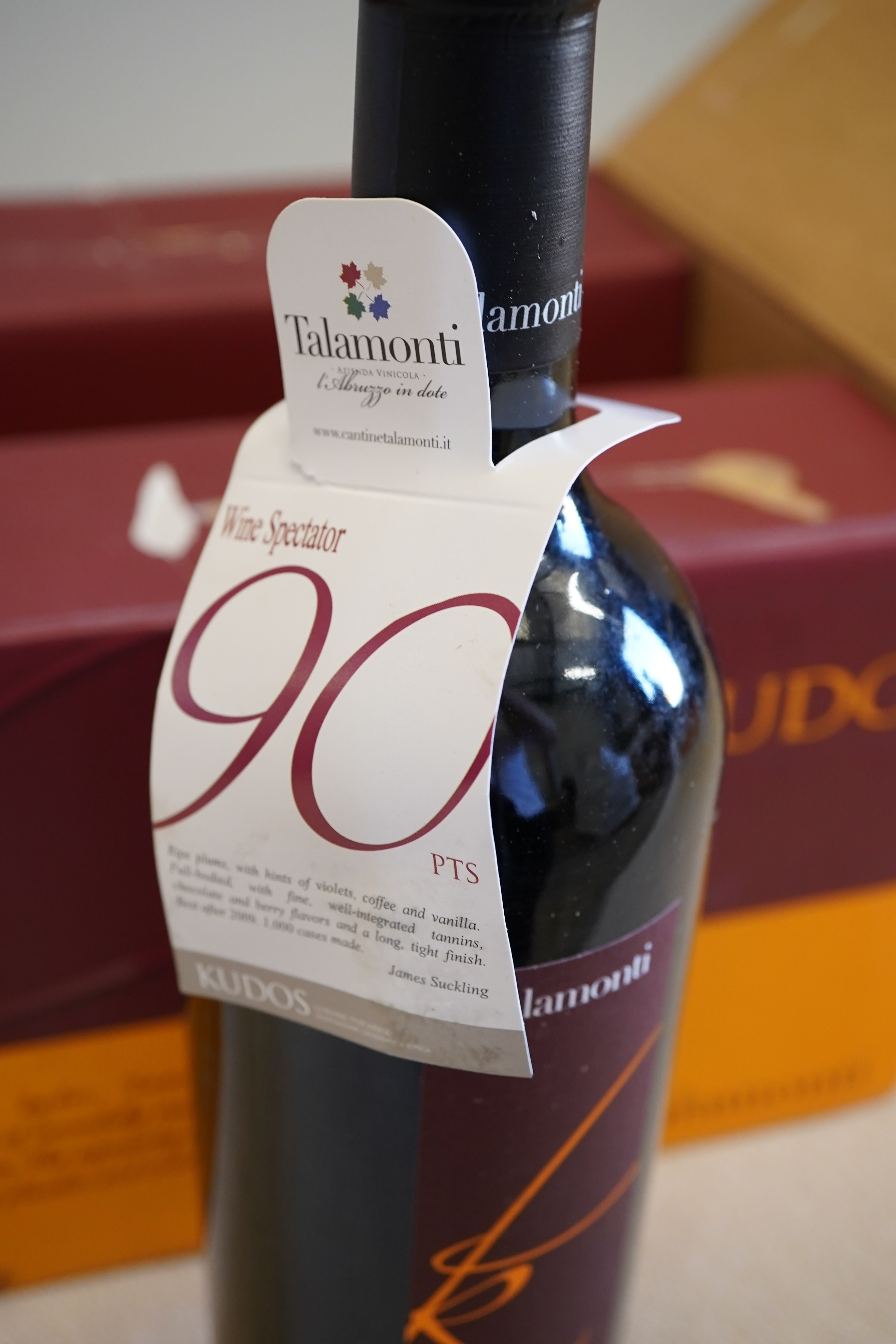 Talamonti, 'Kudos' Rosso Colline Pescaresi IGT, 2004